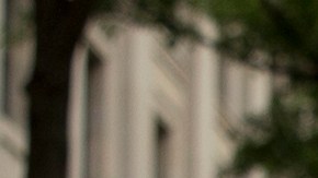 Los baby boomers (nacidos entre 1946 y 1964) respaldan mayoritariamente la deportación masiva (60%).