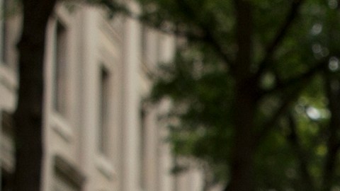 Los baby boomers (nacidos entre 1946 y 1964) respaldan mayoritariamente la deportación masiva (60%).