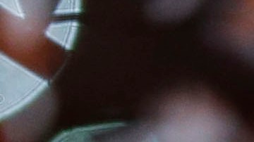 Trofeo de la Copa Sudamericana.