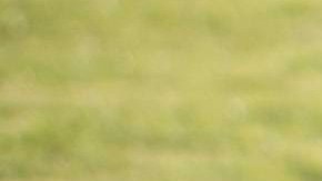 Rafa Márquez, exfutbolista mexicano.