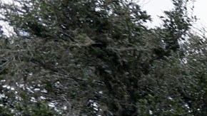 Las autoridades recibieron una llamada alertando del traslado de migrantes indocumentados.