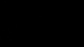 Gisele Bündchen pagó $9.1 millones de dólares por la propiedad.