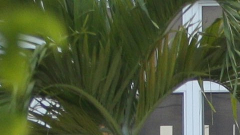 Policías en Miami