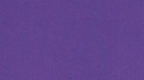 Alejandra Espinoza, presentadora mexicana de televisión.