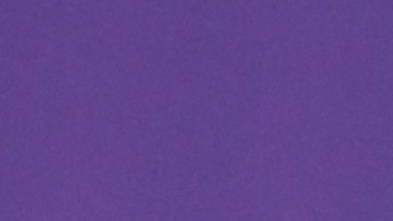 Alejandra Espinoza, presentadora mexicana de televisión.