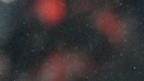 Asaltan mansión de otro jugador del Newcastle y se llevan uno de sus autos