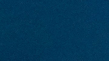 Denuncian a Alexander Bolaños por presunta falsificación de documentos