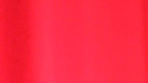 Becky G, cantante estadounidense.