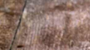 Cider Week GR Hero Shot