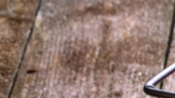 Cider Week GR Hero Shot