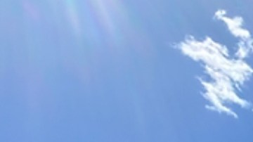 Confirmar que le cuerpo hallado es de trabajador mexicano