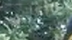 Perturbadores escritos de una mujer asesinada por su esposo en Miami: “Quería arrancarle los ojos”