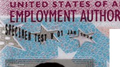 Por ahora, la extensión de validez automática del permiso de trabajo será por 540 días.