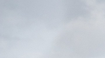 Elefante se escapa de circo en Montana