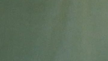 Sydney Sweeney posando.