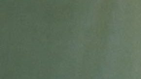 Sydney Sweeney posando.