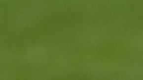 Fernando Muslera anuncia su retiro de la selección de Uruguay a falta de un mes para la Copa América