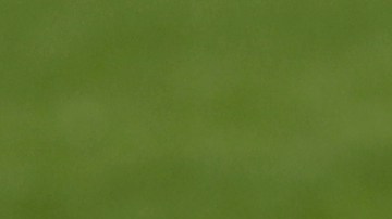 Fernando Muslera anuncia su retiro de la selección de Uruguay a falta de un mes para la Copa América