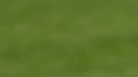 Fernando Muslera anuncia su retiro de la selección de Uruguay a falta de un mes para la Copa América