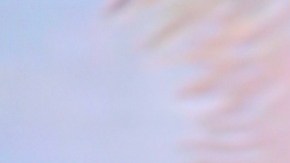 Francisca, presentadora de televisión.