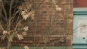 “Deadpool & Wolverine”