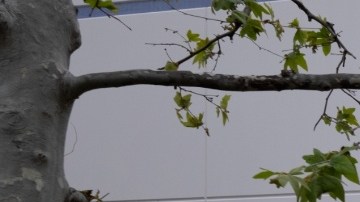 GardaWorld es el almacén que guarda el efecctivo