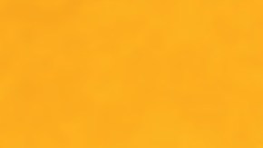 Havana Film Festival en NY