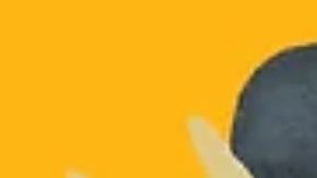 Havana Film Festival Nueva York.