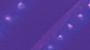 Los Latin American Music Awards se llevarán acabo el jueves 25 de abril en Las Vegas.