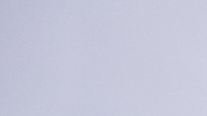 El delantero mexicano compartió un emotivo momento con un pequeño hincha.