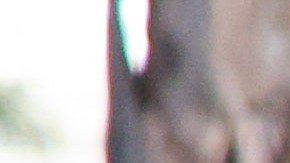 El entrenador del Pachuca se mostró contento con el triunfo 5-0 de este miércoles.