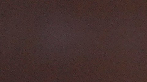 Jugadores de MLB ya comparan al novato Jackson Chourio con Ronald Acuña Jr. y Julio Rodríguez