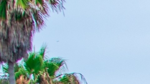 La Jolla
