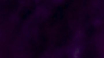 Lili Estefan, presentadora de televisión.