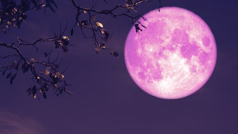 Luna rosa