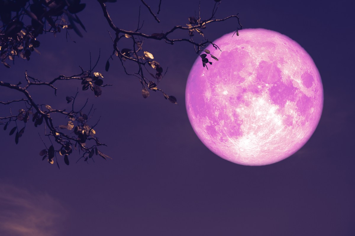 Luna rosa de abril 2024: Cuándo podrás verla en Estados Unidos
