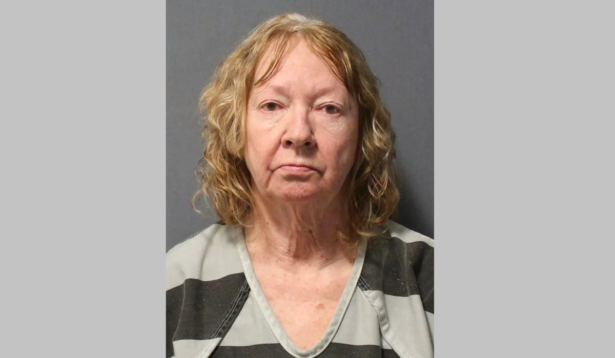 Mujer ebria de Michigan se estrelló en una fiesta infantil de cumpleaños, dejando a dos niños muertos, acusada de asesinato