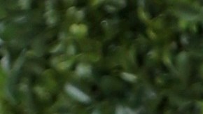 Maripily Rivera, actriz puertorriqueña.