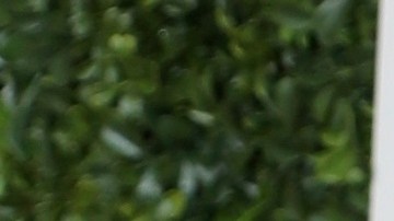 Maripily Rivera, actriz puertorriqueña.