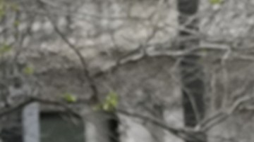 El trágico evento, ocurrido en el parque Collect Pond de Manhattan, terminó con su traslado en estado crítico a un hospital, donde falleció horas más tarde