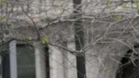 El trágico evento, ocurrido en el parque Collect Pond de Manhattan, terminó con su traslado en estado crítico a un hospital, donde falleció horas más tarde