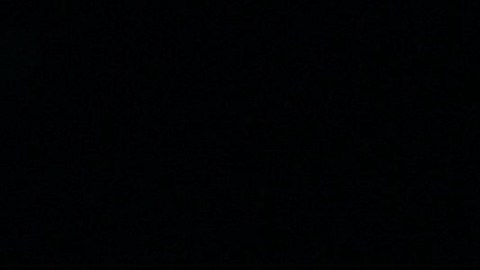 Matías Novoa y Michelle Renaud.