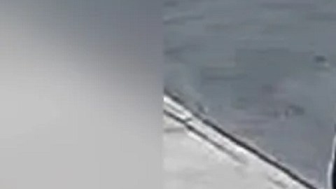 El criminal estaba vestido con una chaqueta negra, camiseta roja, pantalones negros y zapatillas blancas y negras.