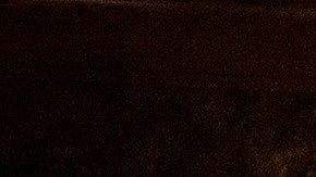 Científicas, juristas, comunicadoras, deportistas, profesionales, activistas, emprendedoras empresariales fueron reconocidas por sus aportes a las comunidades.