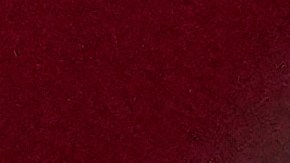 Penei Sewell sacude la NFL al pactar con los Detroit Lions por $112 millones de dólares