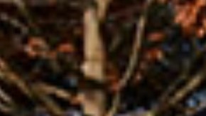 Policía del estado de Pensilvania