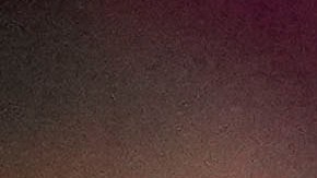 Rafa Nadal tras ser eliminado en Madrid: "No quería lágrimas porque no he terminado"