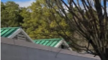 Subdirector de esuela en Virginia acusado de múltiples cargos