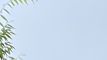  Los neoyorquinos tendremos una segunda votación primaria en 2024.