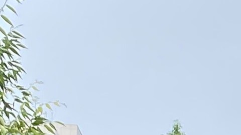  Los neoyorquinos tendremos una segunda votación primaria en 2024.